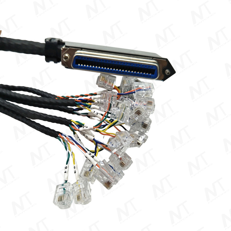 Многоканальный распределительный жгут проводов CN50 (SCSI50) - RJ11